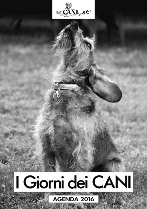 I giorni dei cani. Agenda 2016
