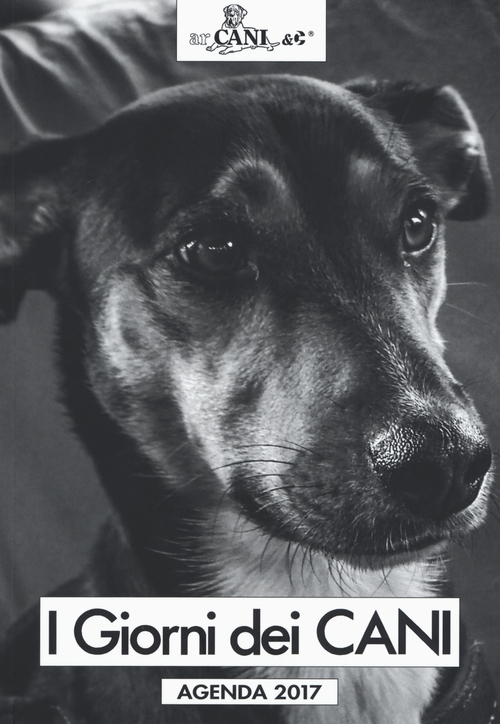 Photo gallery principale