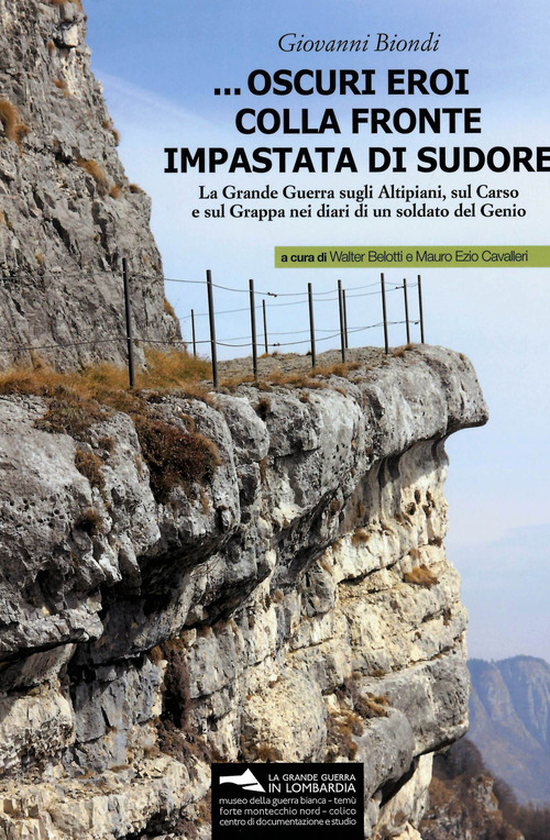 ... Oscuri eroi colla fronte impastata di sudore. La Grande Guerra sugli altipiani, sul Carso e sul Grappa nei diari di un soldato del Genio