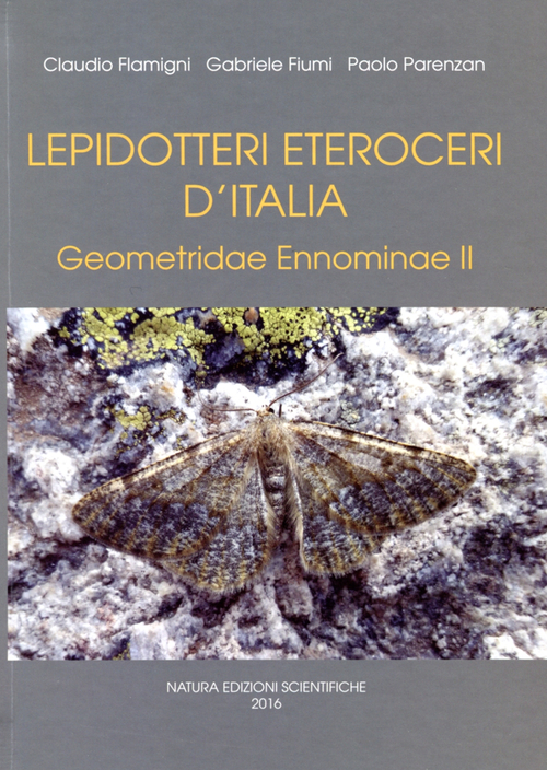 Lepidotteri eteroceri d'Italia. Geometridae ennominae