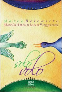 Solo volo
