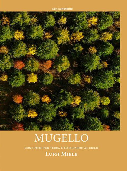 Photo gallery principale