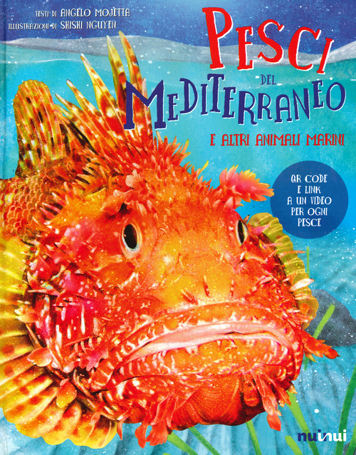 Pesci del Mediterraneo e altri animali marini