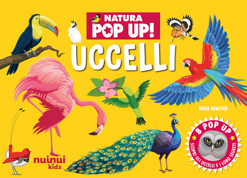 Uccelli. Natura pop up