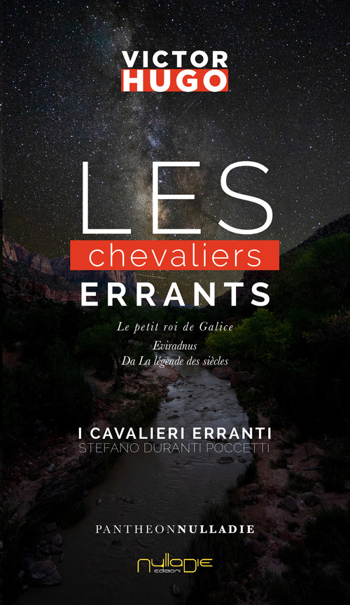 Les chevaliers errants-I cavalieri erranti