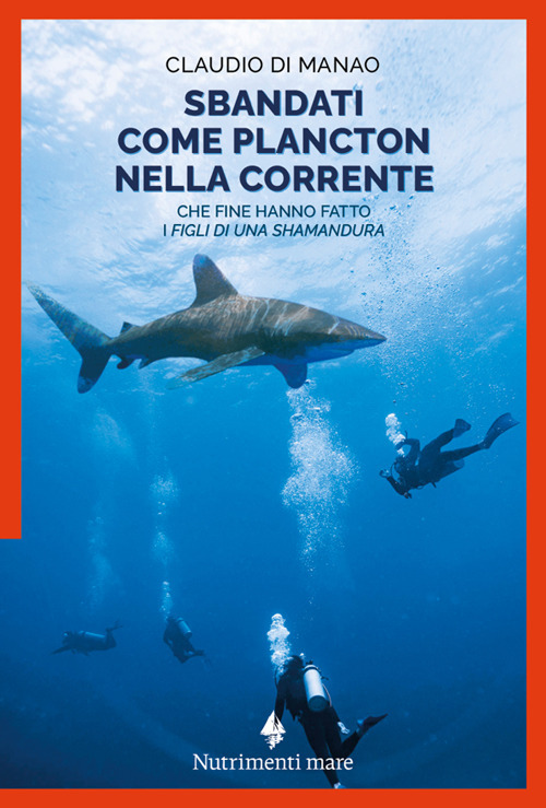 Sbandati come plancton nella corrente. Che fine hanno fatto i «figli di una Shamandura»
