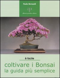 Coltivare i bonsai. La guida pi&ugrave; semplice
