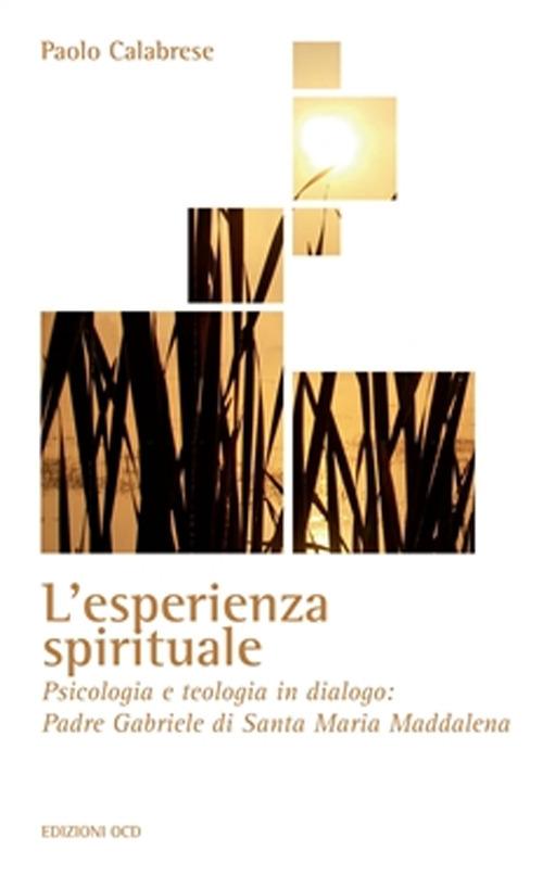 L'esperienza spirituale. Psicologia e teologia in dialogo: Padre Gabriele di Santa Maria Maddalena