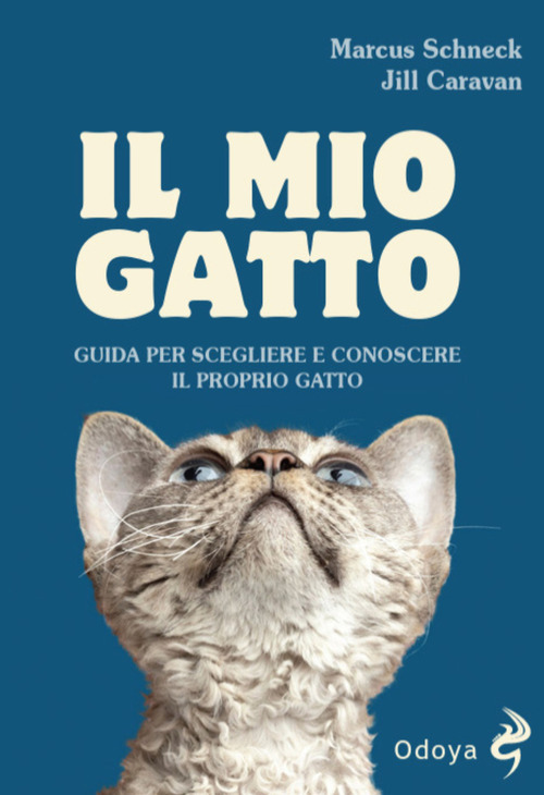 Il mio gatto
