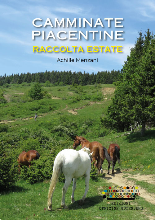 Photo gallery principale