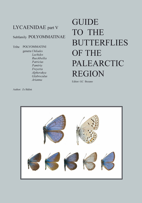 Guide to the Butterflies of the Palearctic Region. Lycaenidae