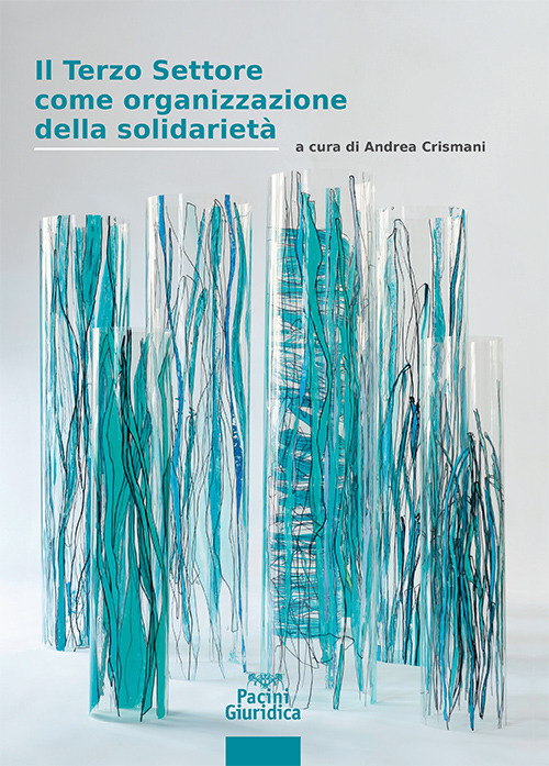 Il terzo settore come organizzazione della solidariet&agrave;