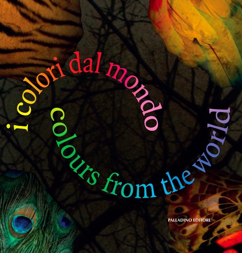 I colori dal mondo. Rassegna internazionale