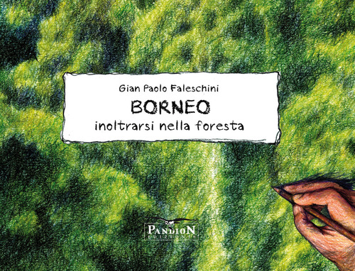 Borneo. Inoltrarsi nella foresta