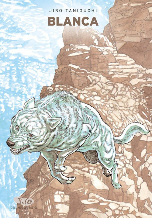 Photo gallery principale