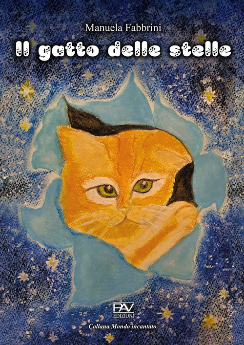 Il gatto delle stelle