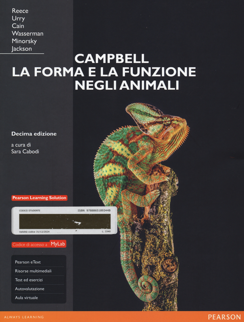 Photo gallery principale