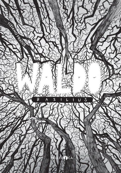 Photo gallery principale