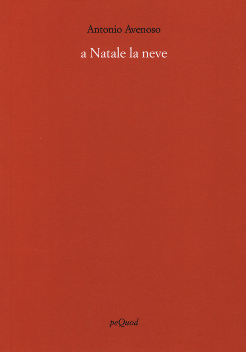 A Natale la neve