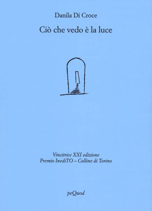 Ciò che vedo è la luce
