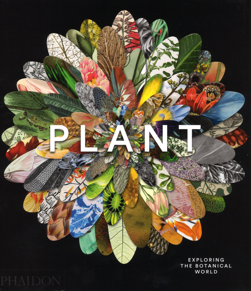 Plant exploring the botanical world