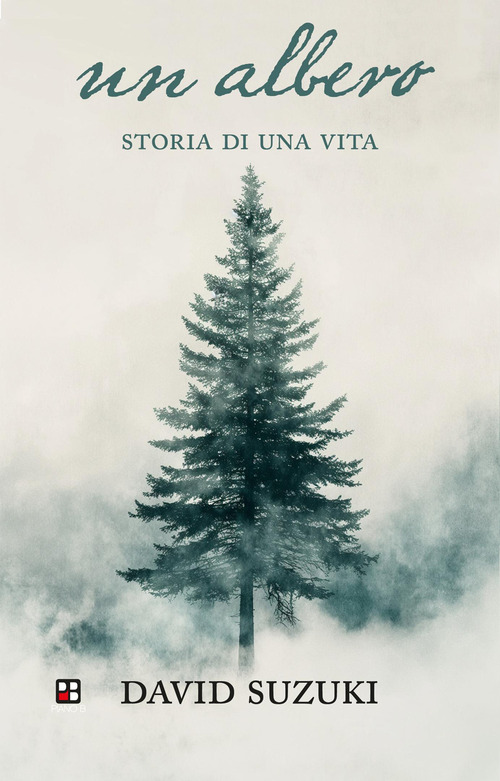 Un albero. Storia di una vita