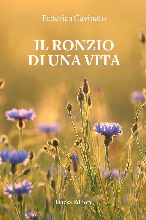 Il ronzio di una vita