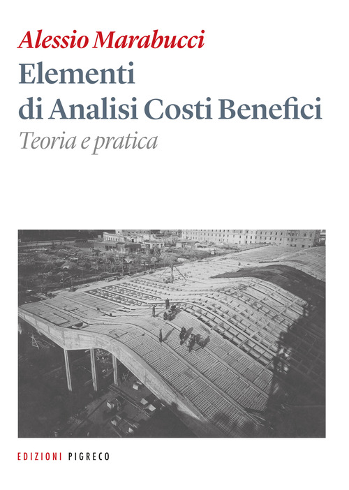 Elementi di analisi costi benefici. Teoria e pratica