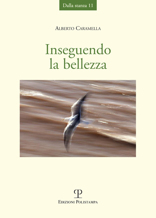 Photo gallery principale