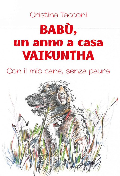 Bab&ugrave;, un anno a casa Vaikuntha. Con il mio cane, senza paura