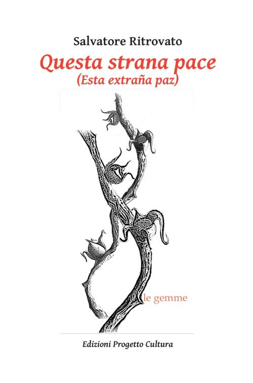 Questa strana pace-Esta extra&ntilde;a paz. Ediz. italiana