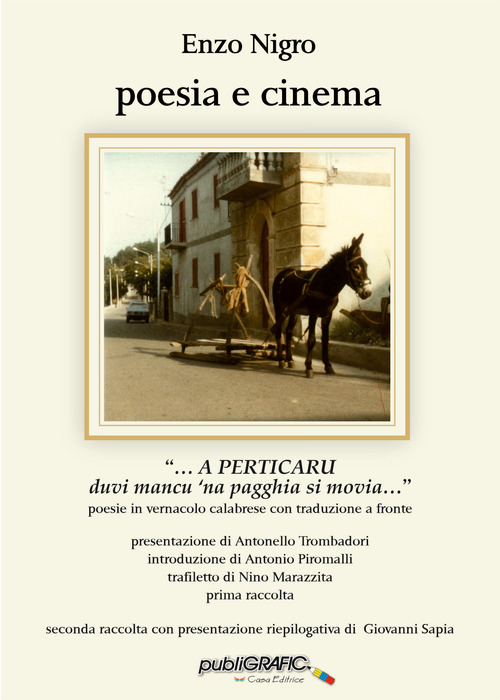 Poesia e cinema. &laquo;... A Perticaru duvi mancu 'na pagghia si movia...&raquo;