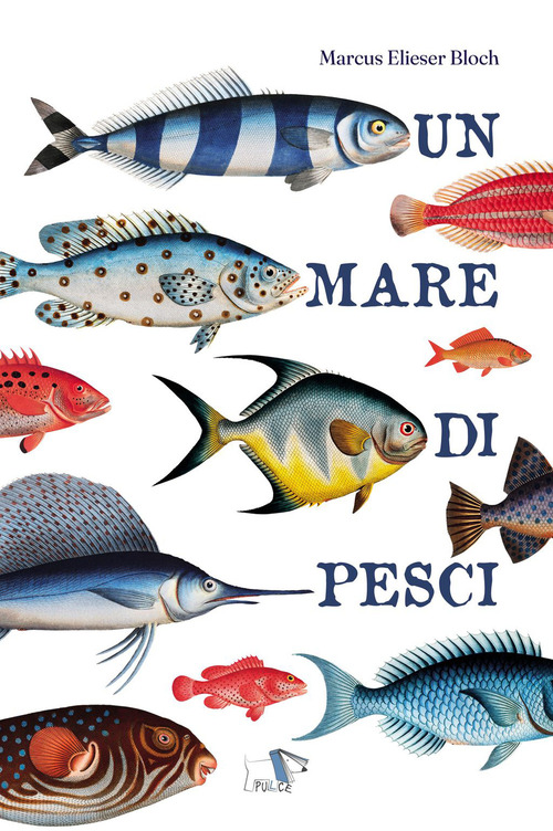 Un mare di pesci