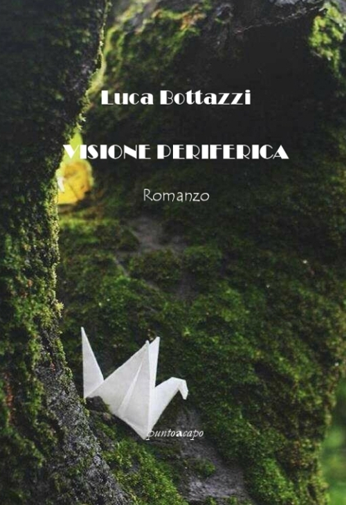 Visione periferica