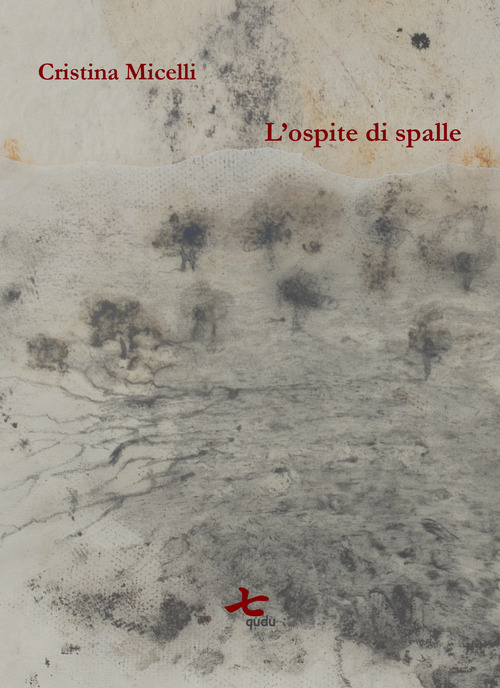 L'ospite di spalle