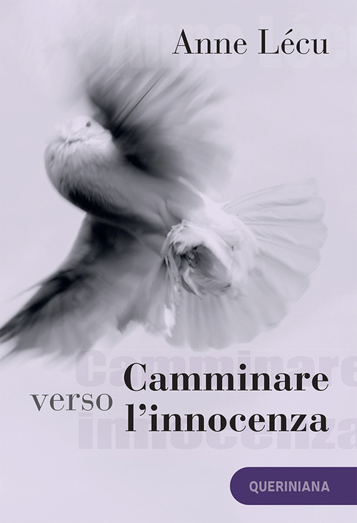 Camminare verso l'innocenza. Quaranta tappe attraverso il Vangelo di Giovanni