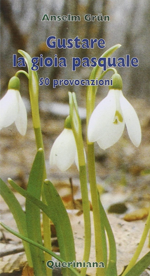 Photo gallery principale