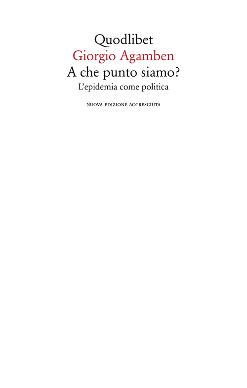 A che punto siamo? L'epidemia come politica