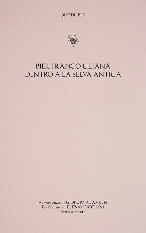 Dentro a la selva antica