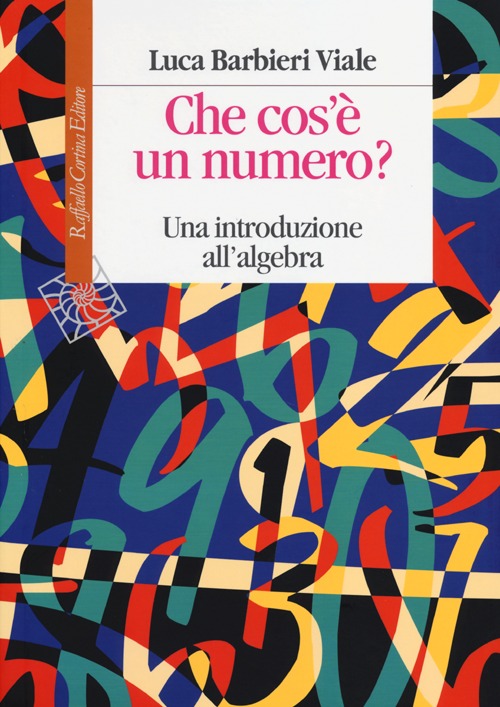 Che cos'&egrave; un numero? Una introduzione all'algebra