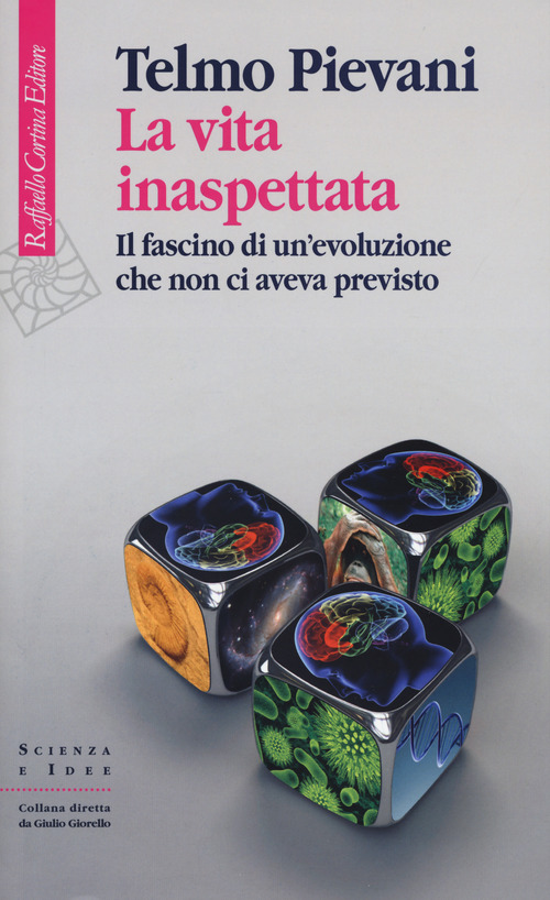 Photo gallery principale