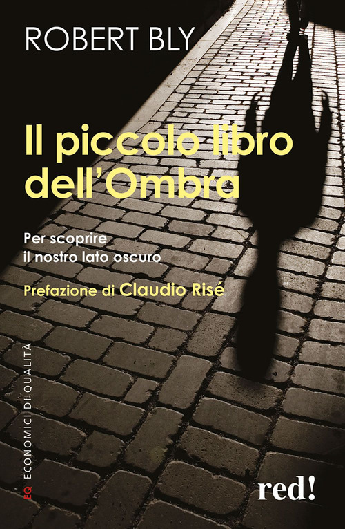 Il piccolo libro dell'ombra. Per scoprire il nostro lato oscuro