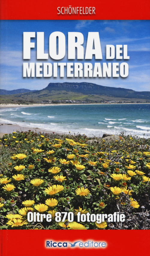 Flora del Mediterraneo
