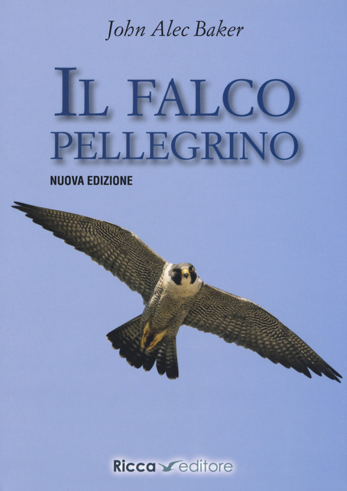 Il falco pellegrino