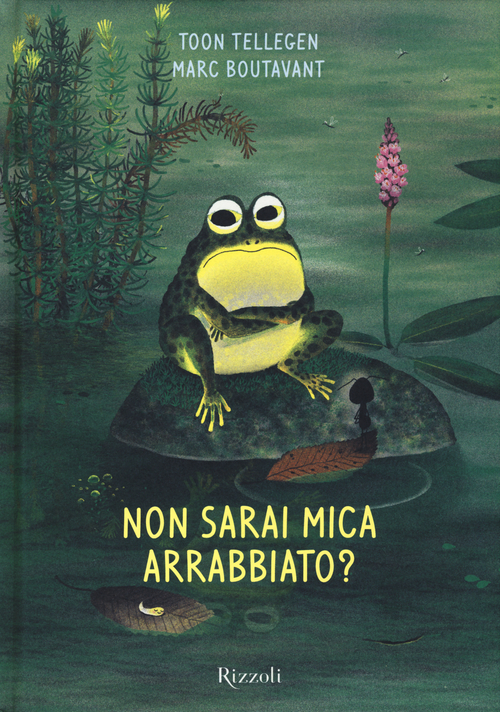 Photo gallery principale