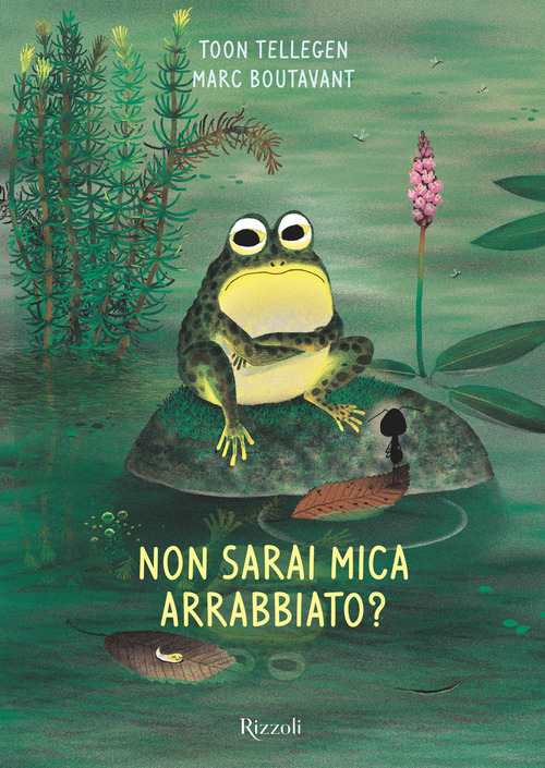 Photo gallery principale