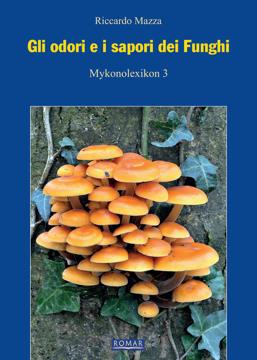 Gli odori e i sapori dei funghi