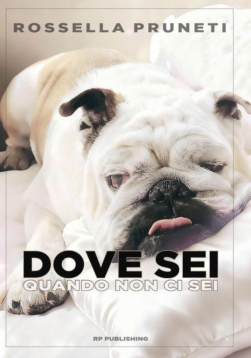 Dove sei quando non ci sei. Ho amato un cane. E sono diventata umana