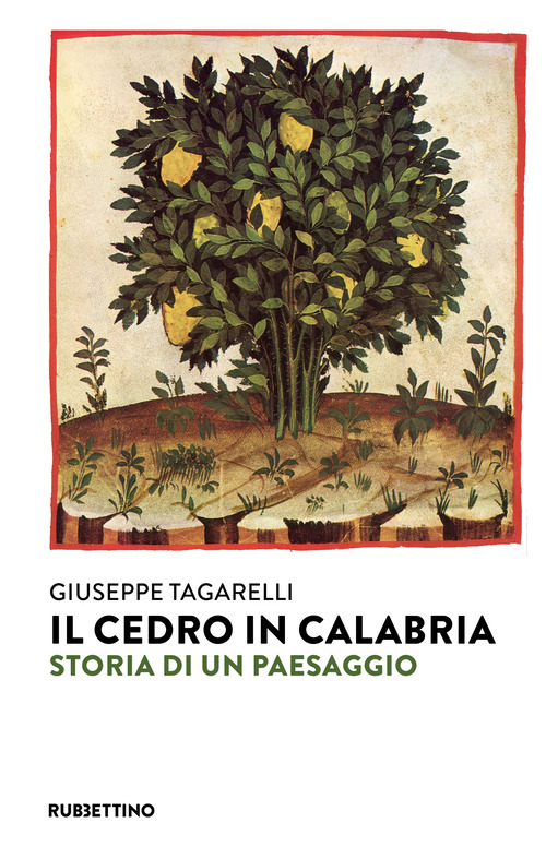Il cedro in Calabria. Storia di un paesaggio