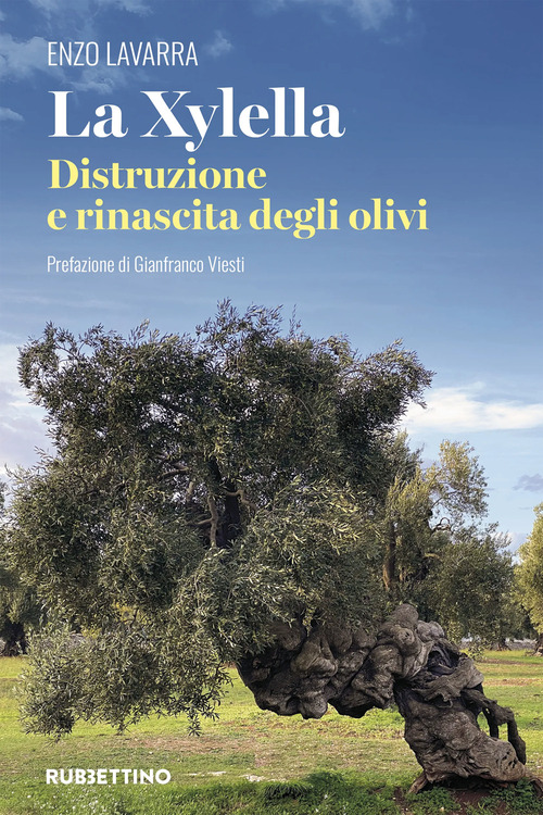 La Xylella. Distruzione e rinascita degli olivi